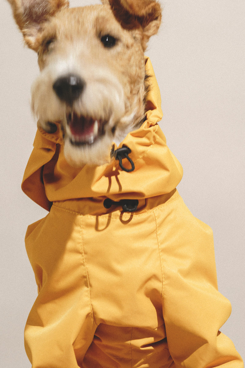 Overall "Pony-Jumpsuitony" Yellow