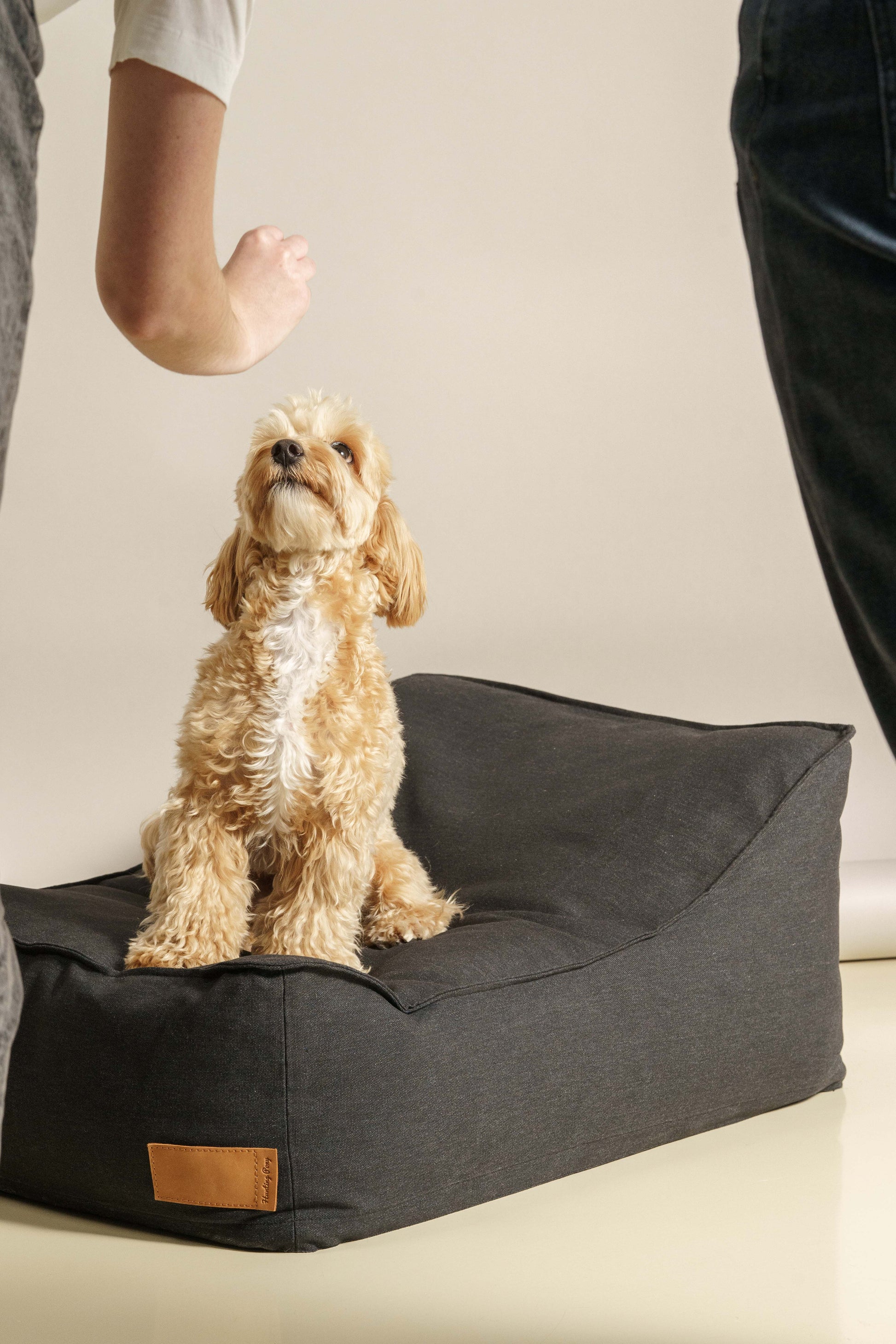 Dog bed Pony trampliny black