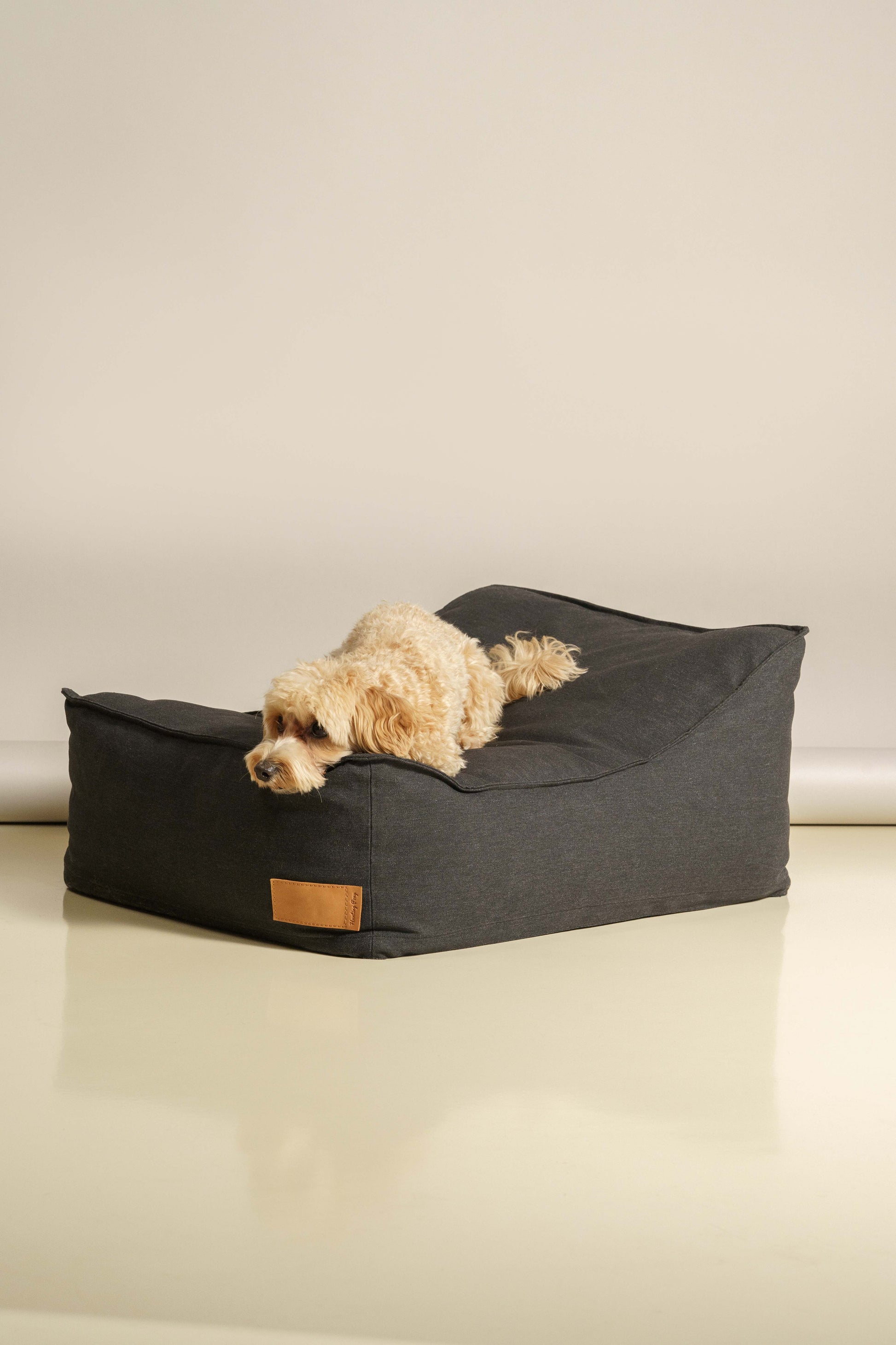 Dog bed Pony trampliny black