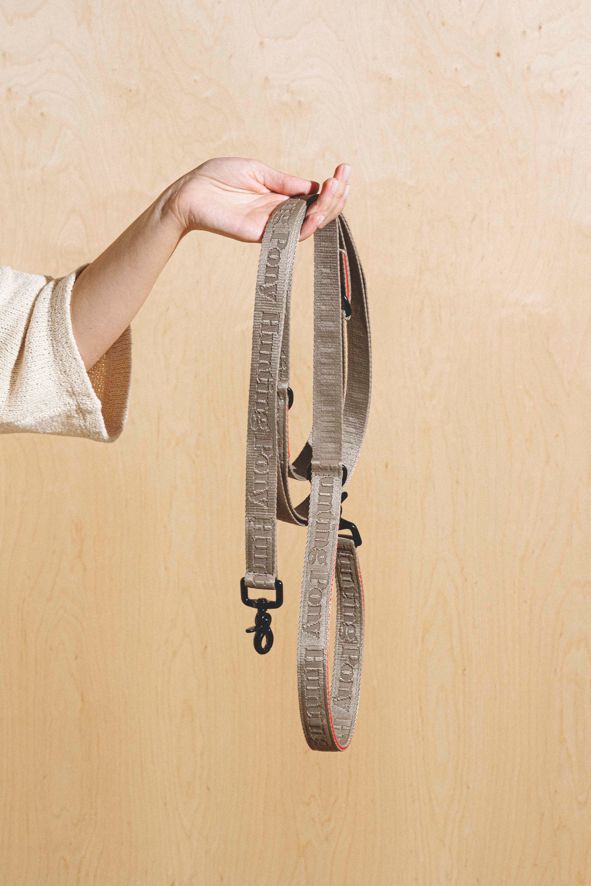 Dog-running leash "Pony-Companiony" Gray