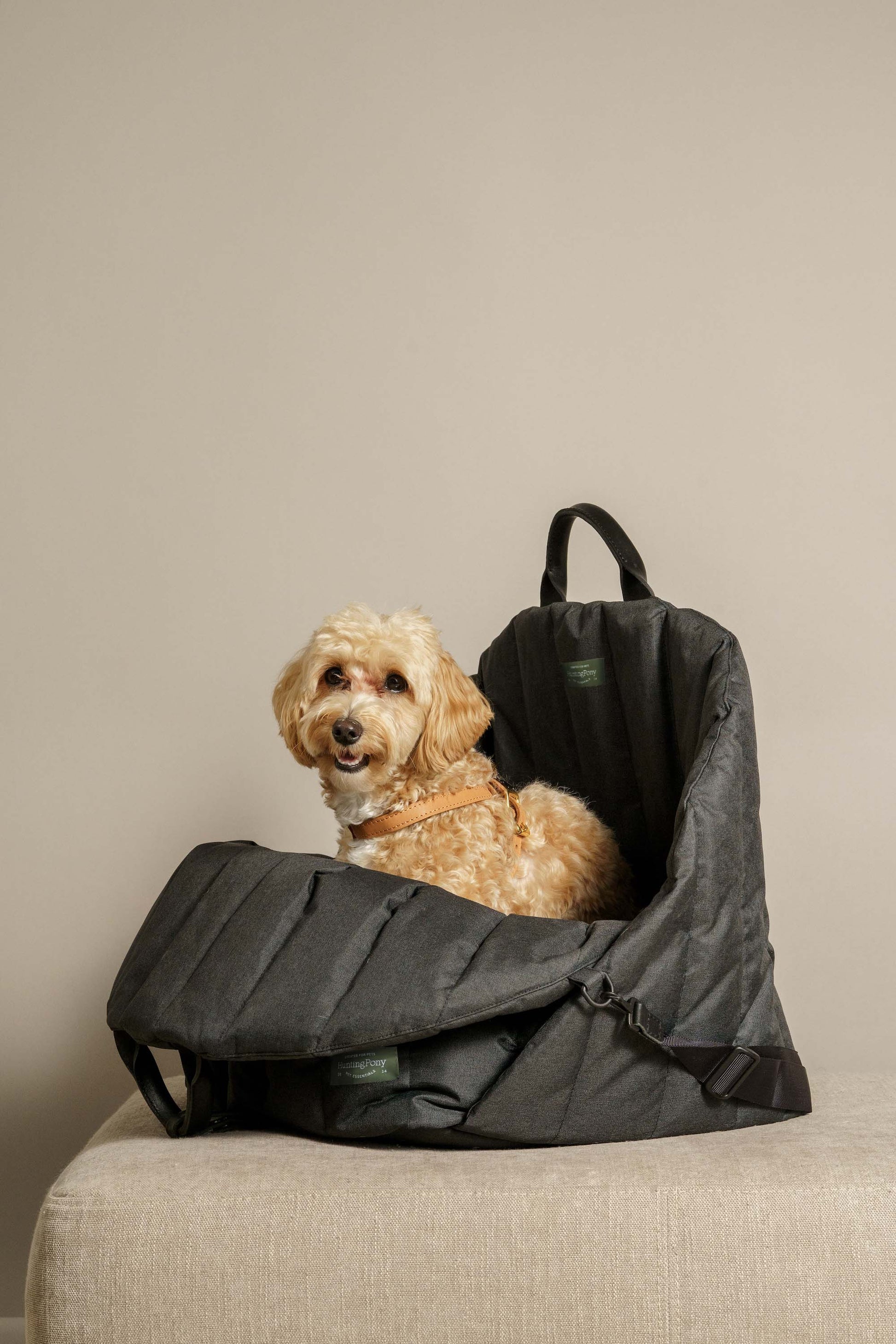 Car seat for dogs black