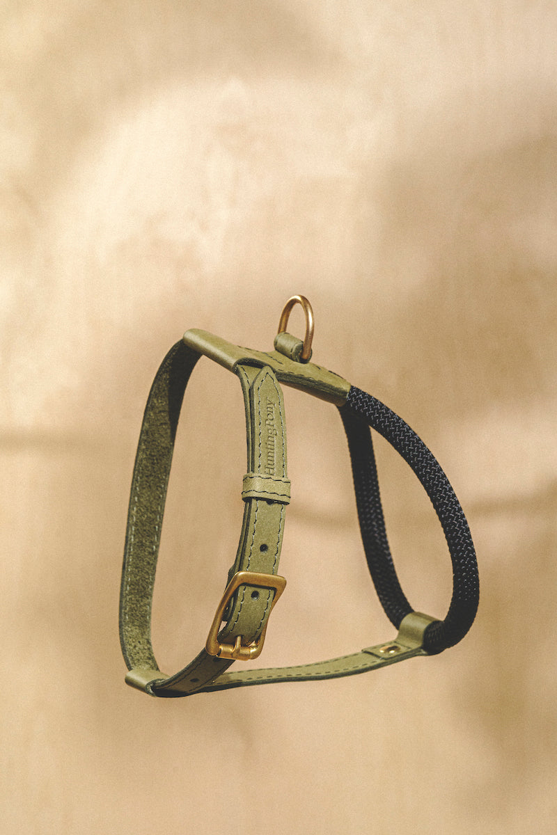 Dog Harness Pony Makarony Green
