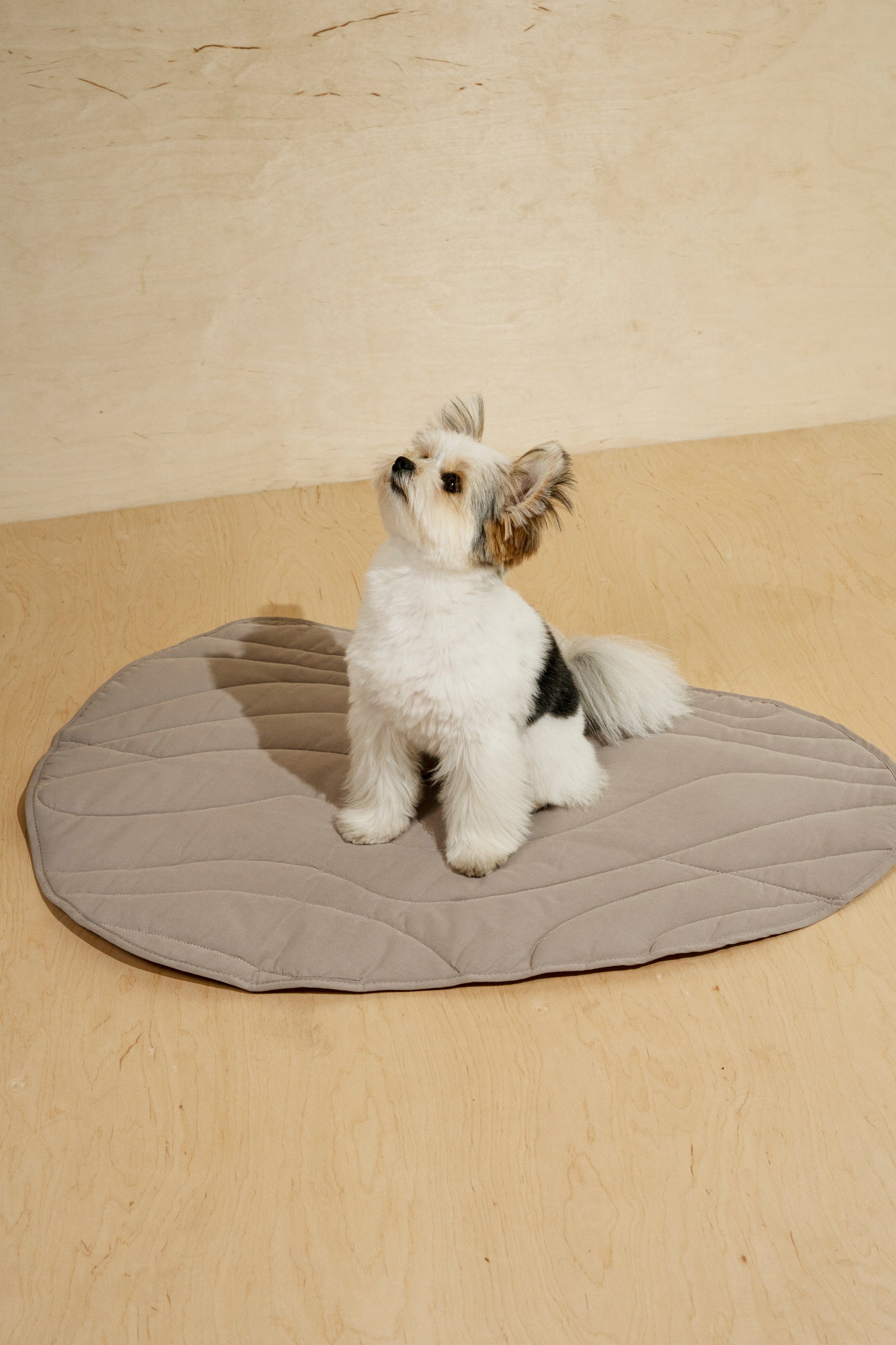 Dog blanket Pony-Rollony