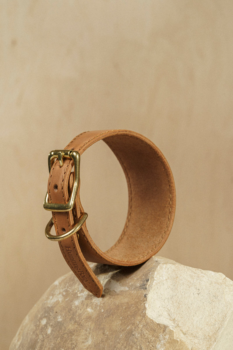Dog collar Herring Ginger