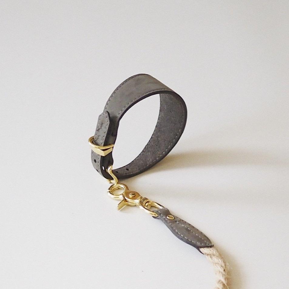 Dog collar herring graphite