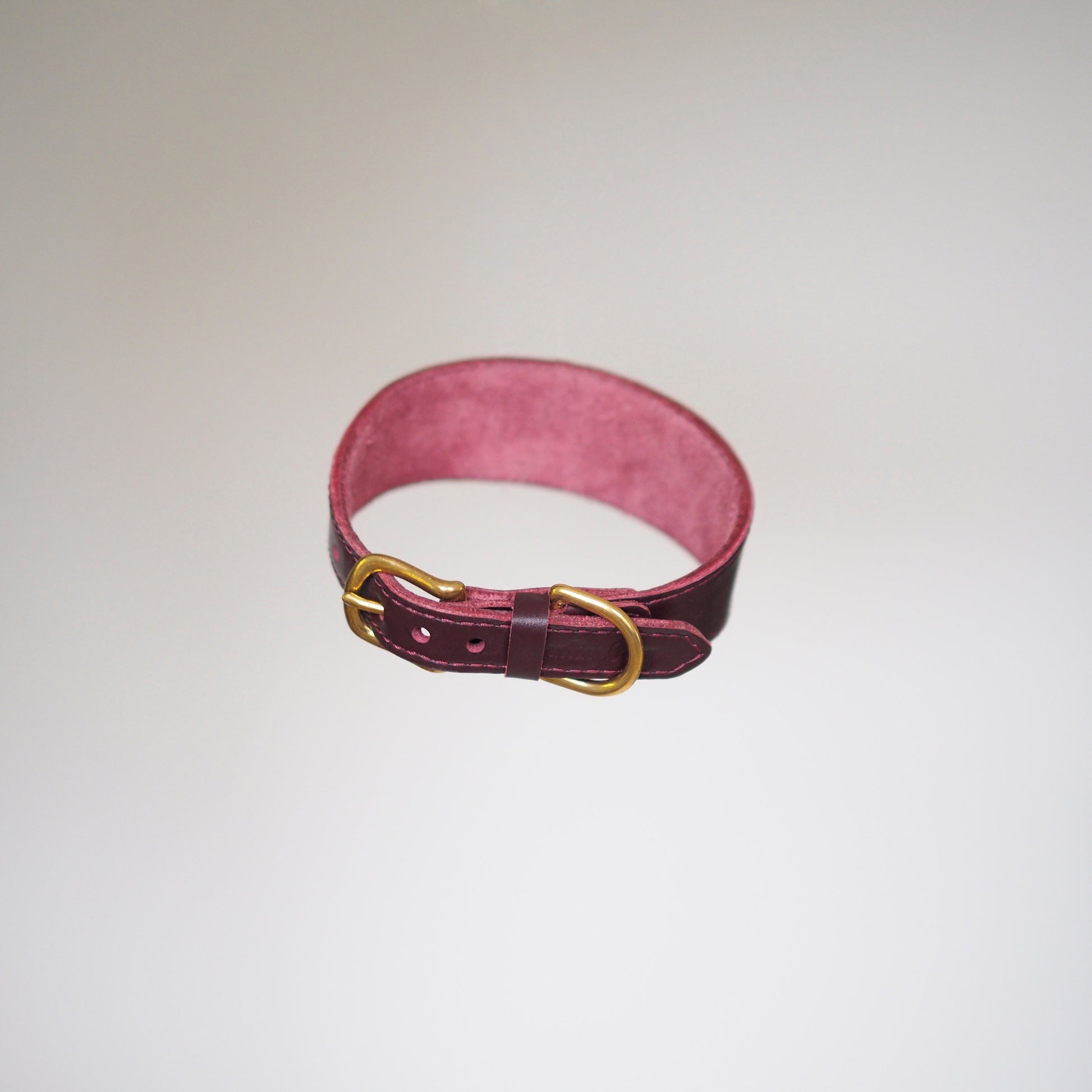 Dog collar herring wine
