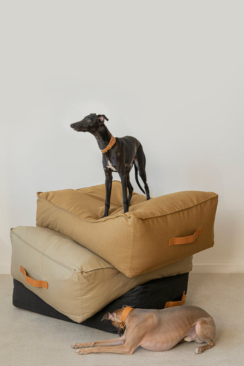 Dog bed Pony trampliny black