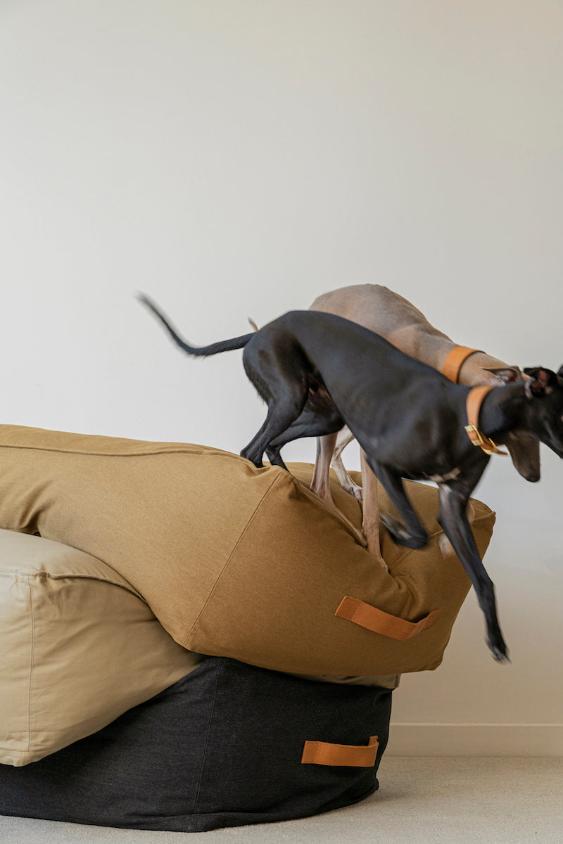 Dog bed Pony trampliny black