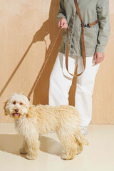 Dog-running leash "Pony-Companiony" Ginger