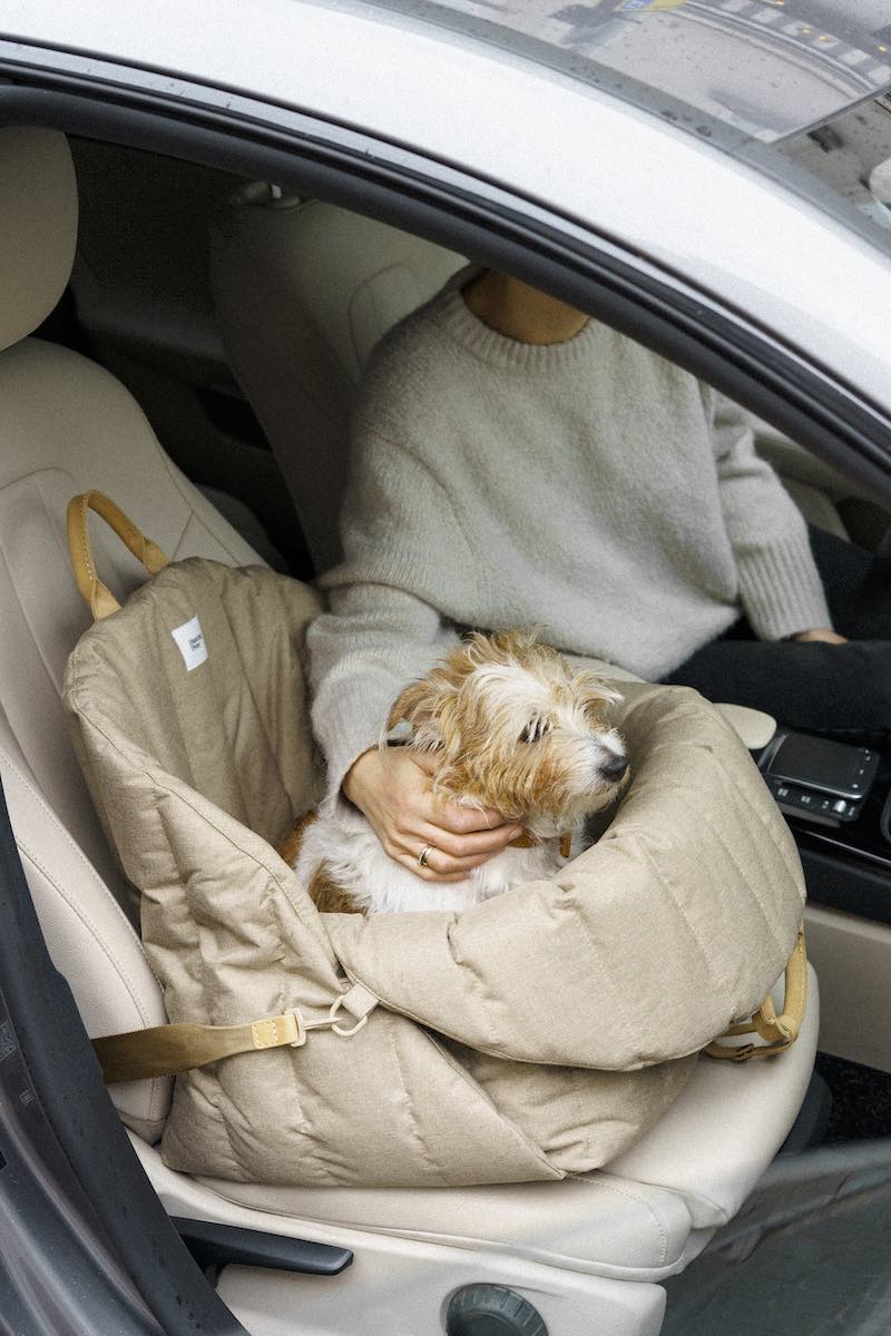 Car seat for dogs beige