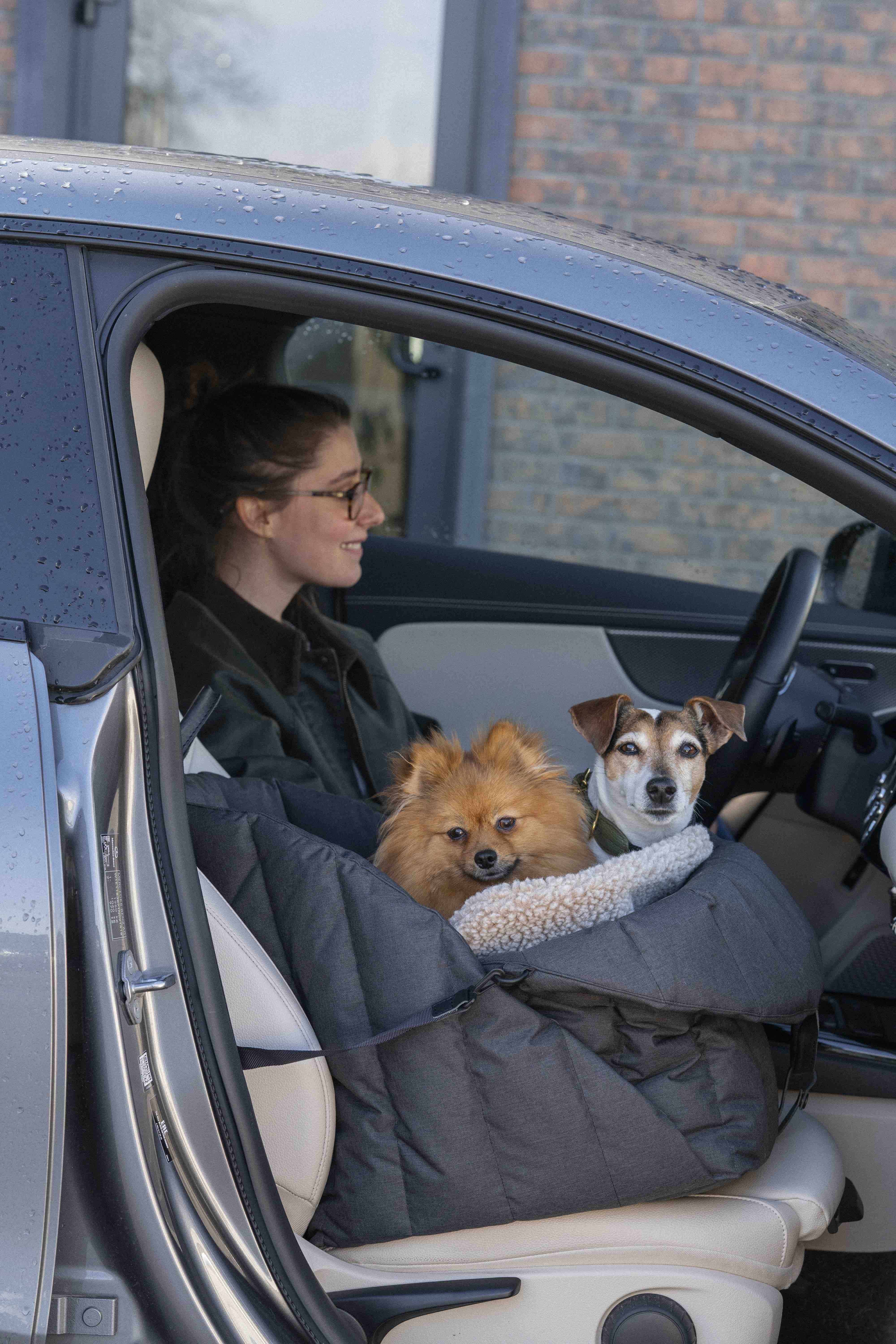Hunting Pony ドックカーシート Car seats & bags – HuntingPony | Pet essentials