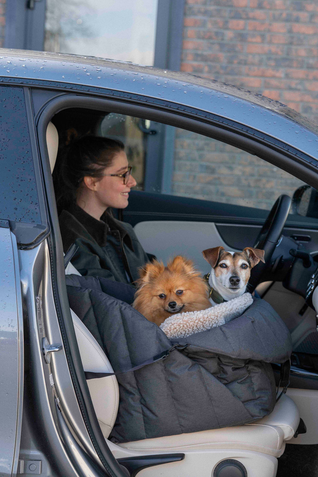 Car seat for dogs black