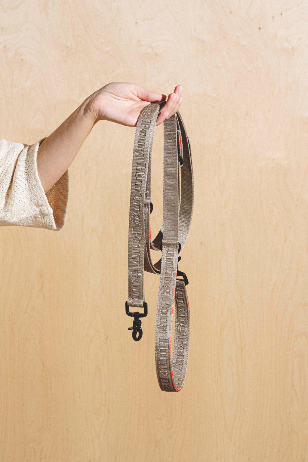 Dog-running leash "Pony-Companiony" Gray