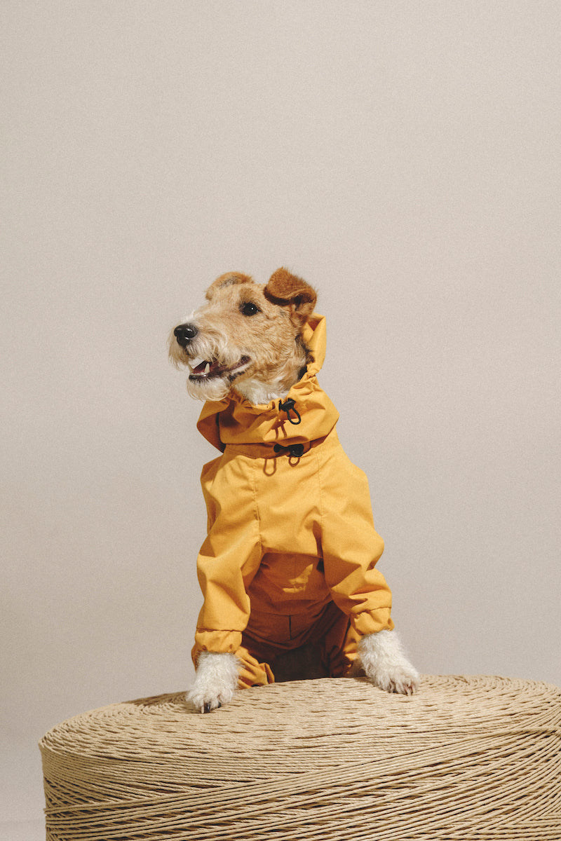 Overall "Pony-Jumpsuitony" Yellow