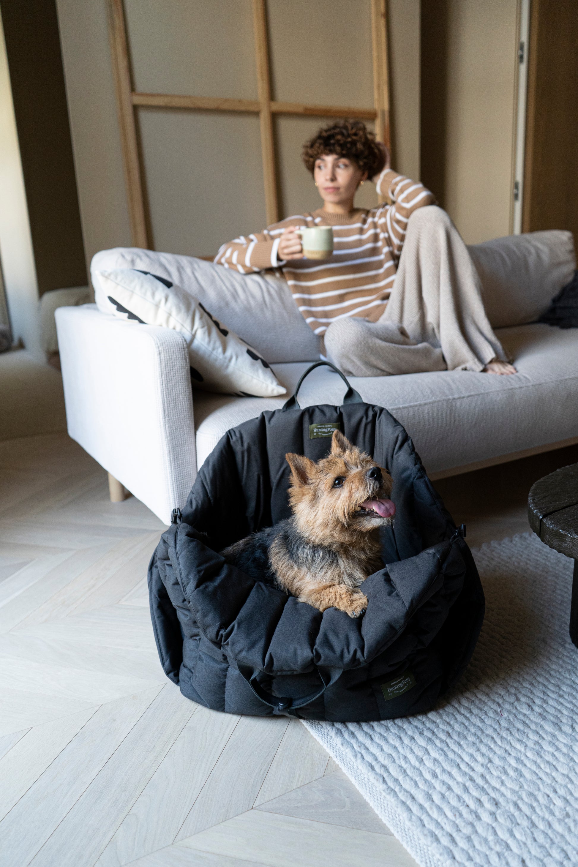Car seat for dogs black