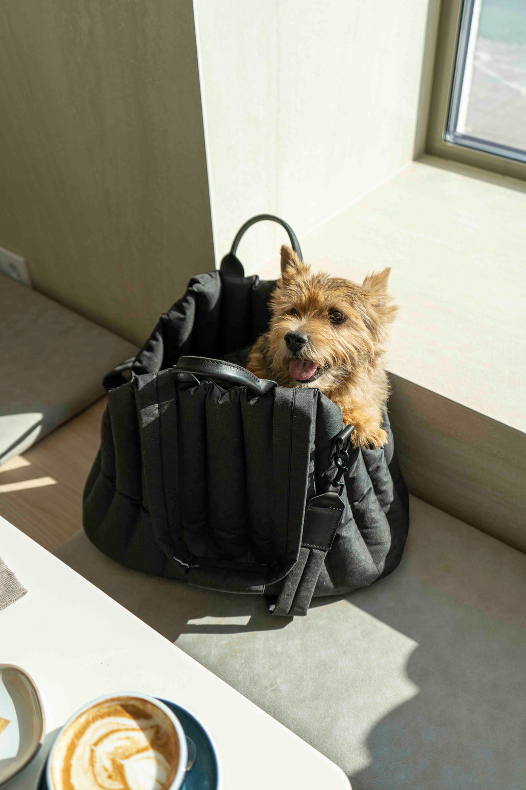 Carrying Pony bag black