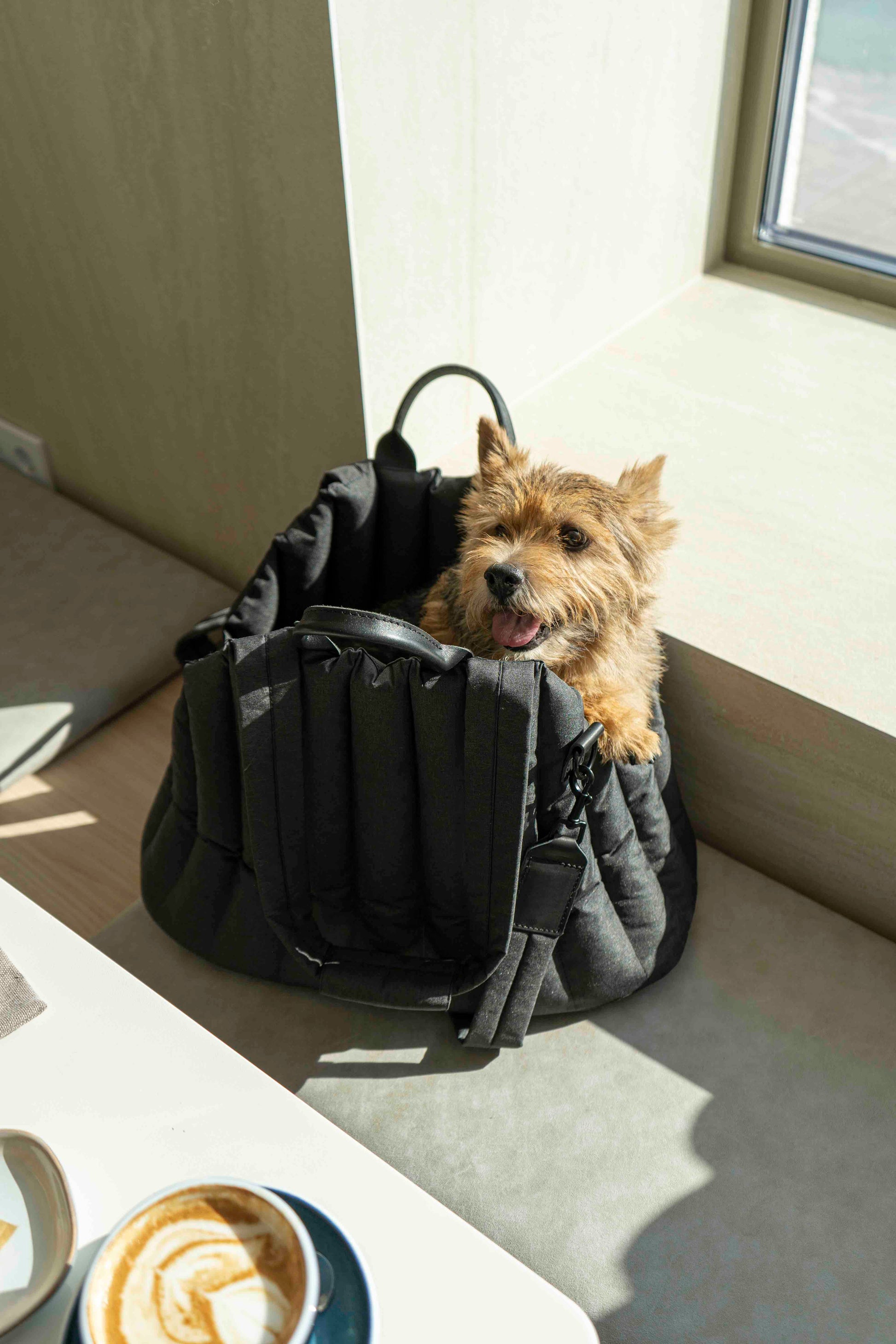 Carrying Pony bag black