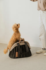SET: Сarrying Pony bag brown + Fur case