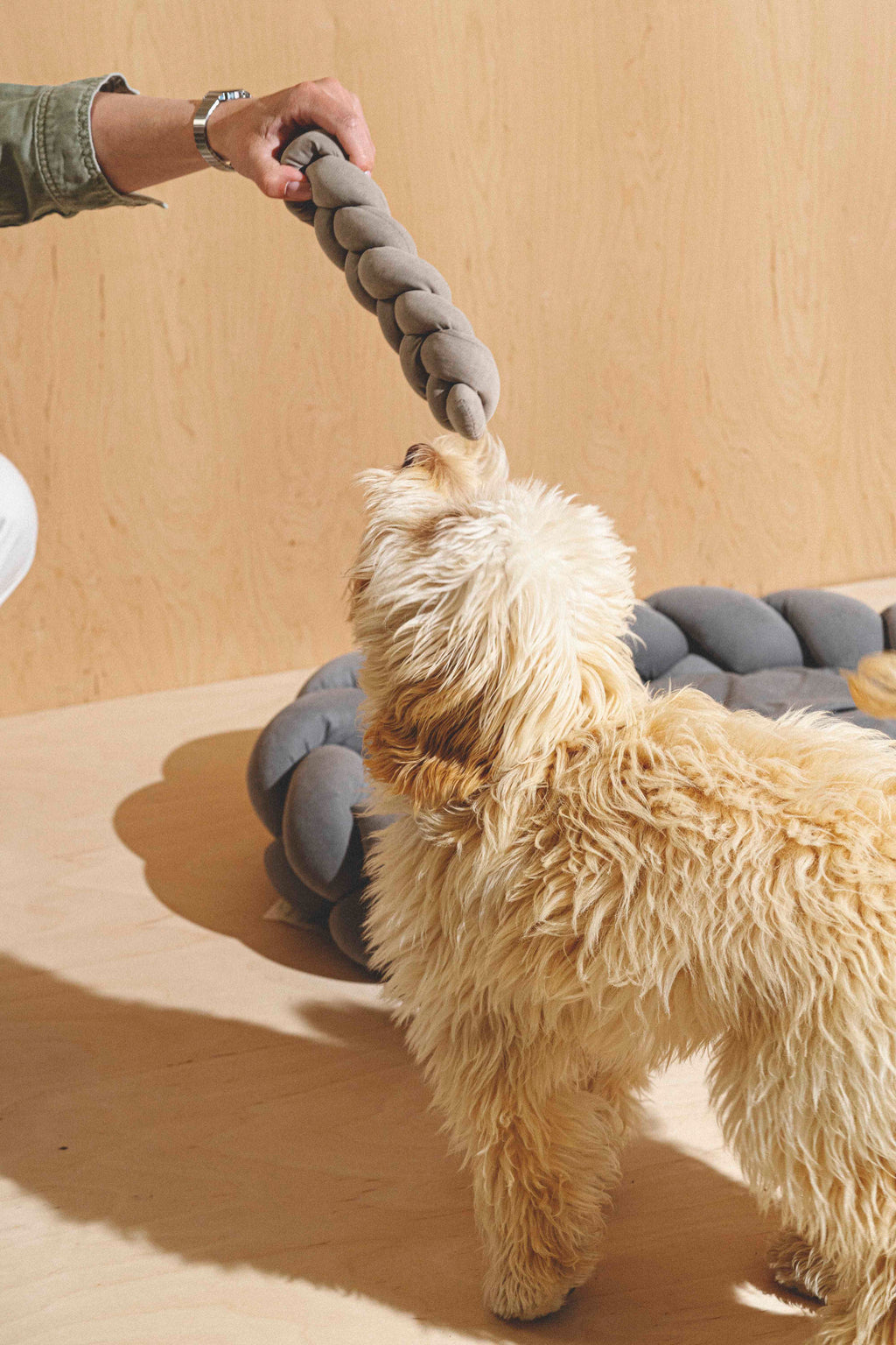 Dog Toy Pony-Krendelkony