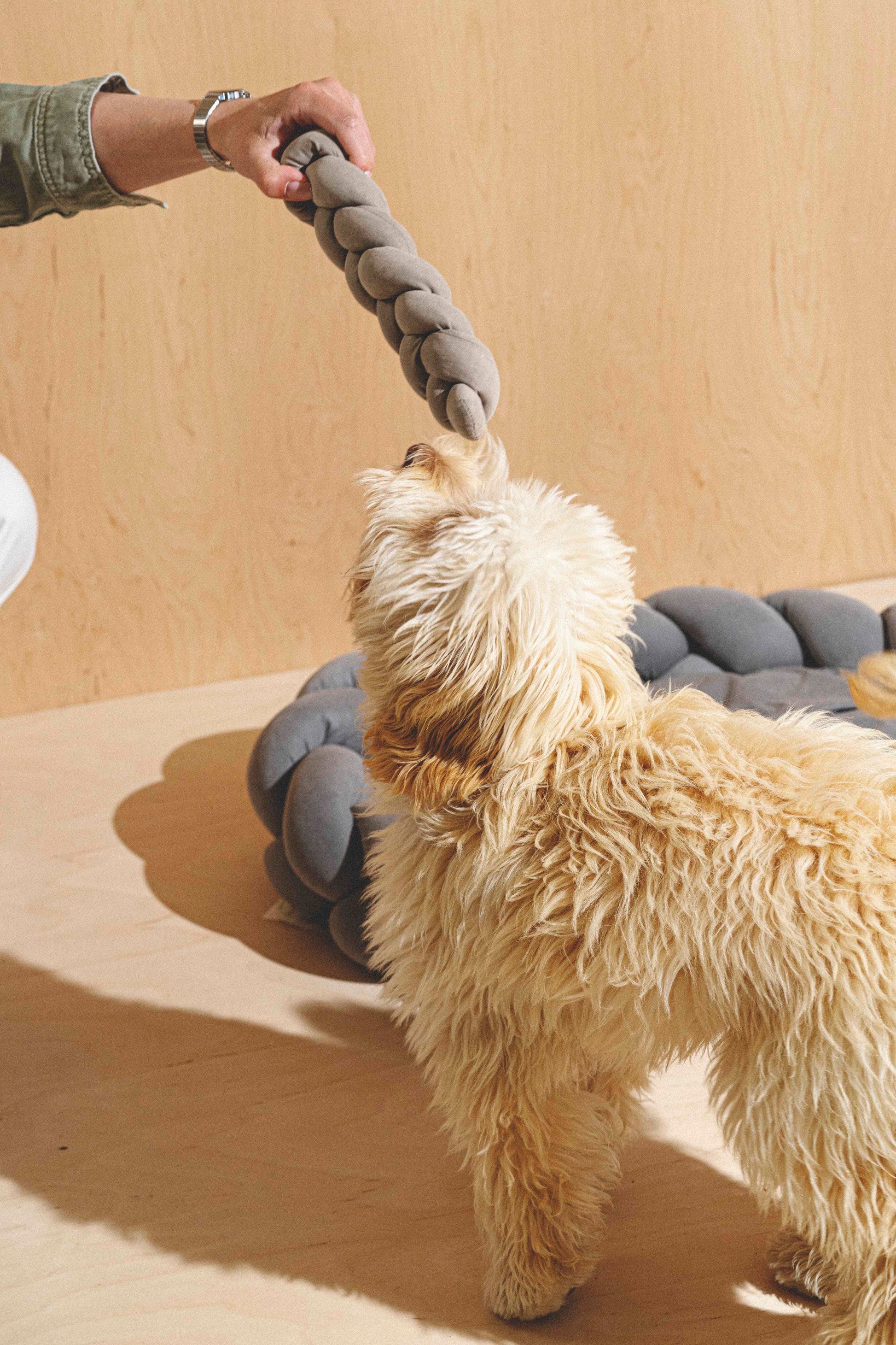 Dog Toy Pony-Krendelkony