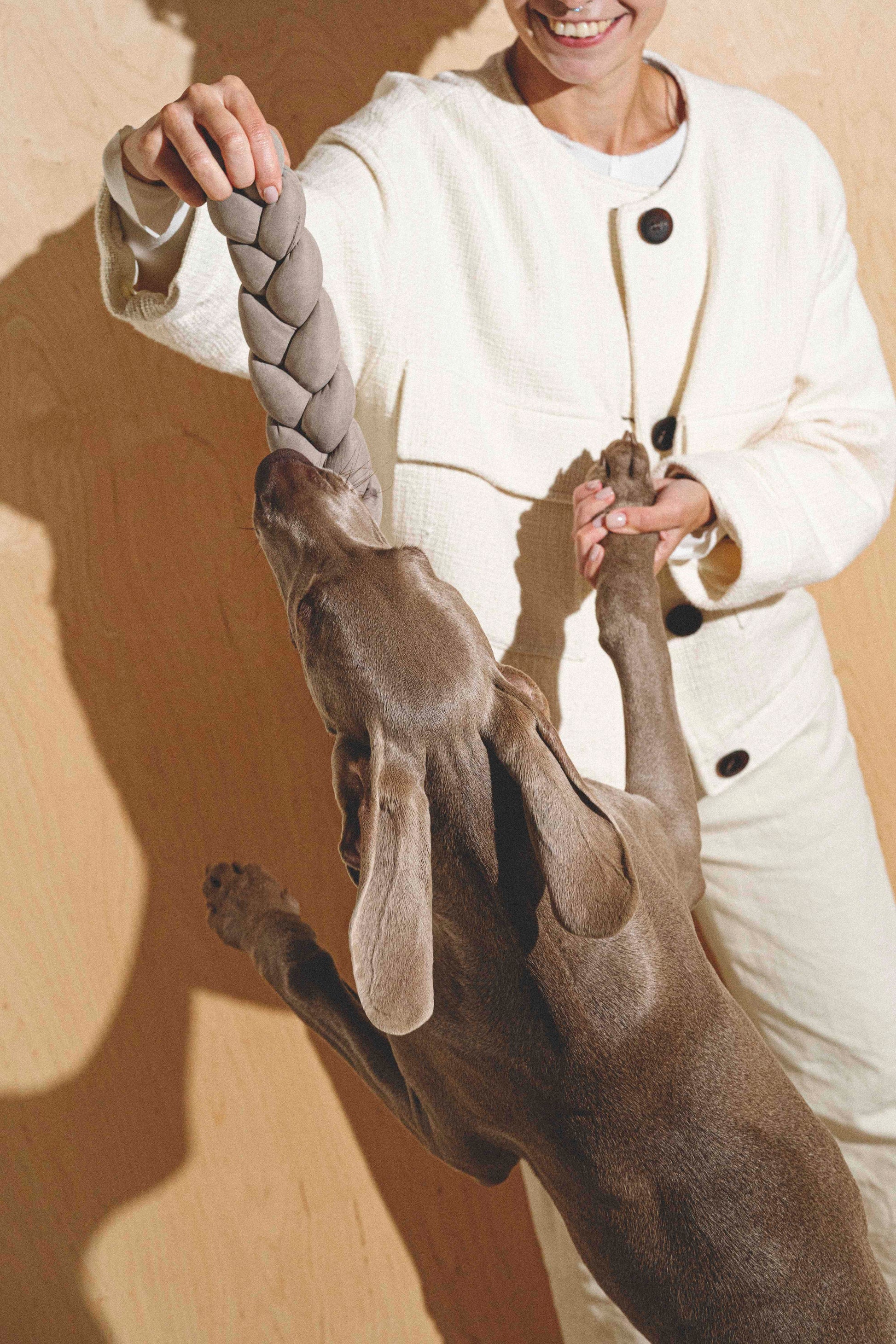 Dog Toy Pony-Krendelkony