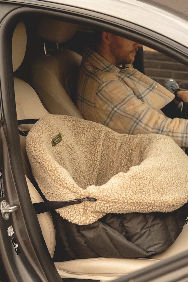 Car seat for dogs black