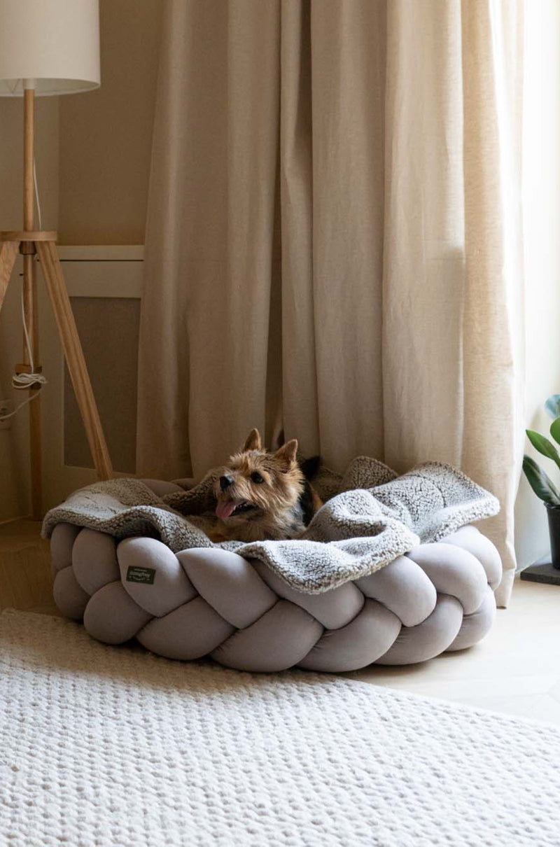 SET: DOG BED PONY KOLOSONY BEIGE + DOG BLANKET SLEEPY-PONY
