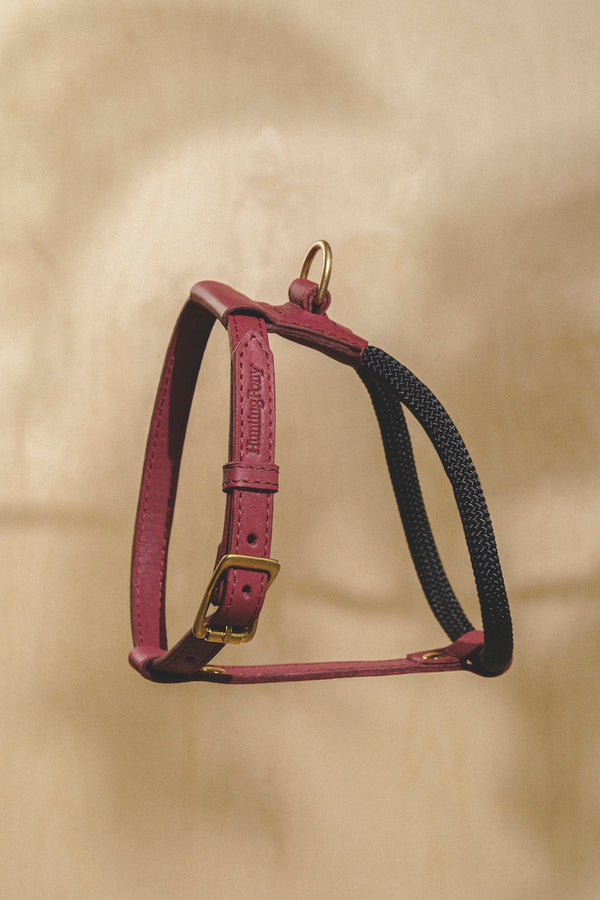 Hundegeschirr Pony Makarony Grün