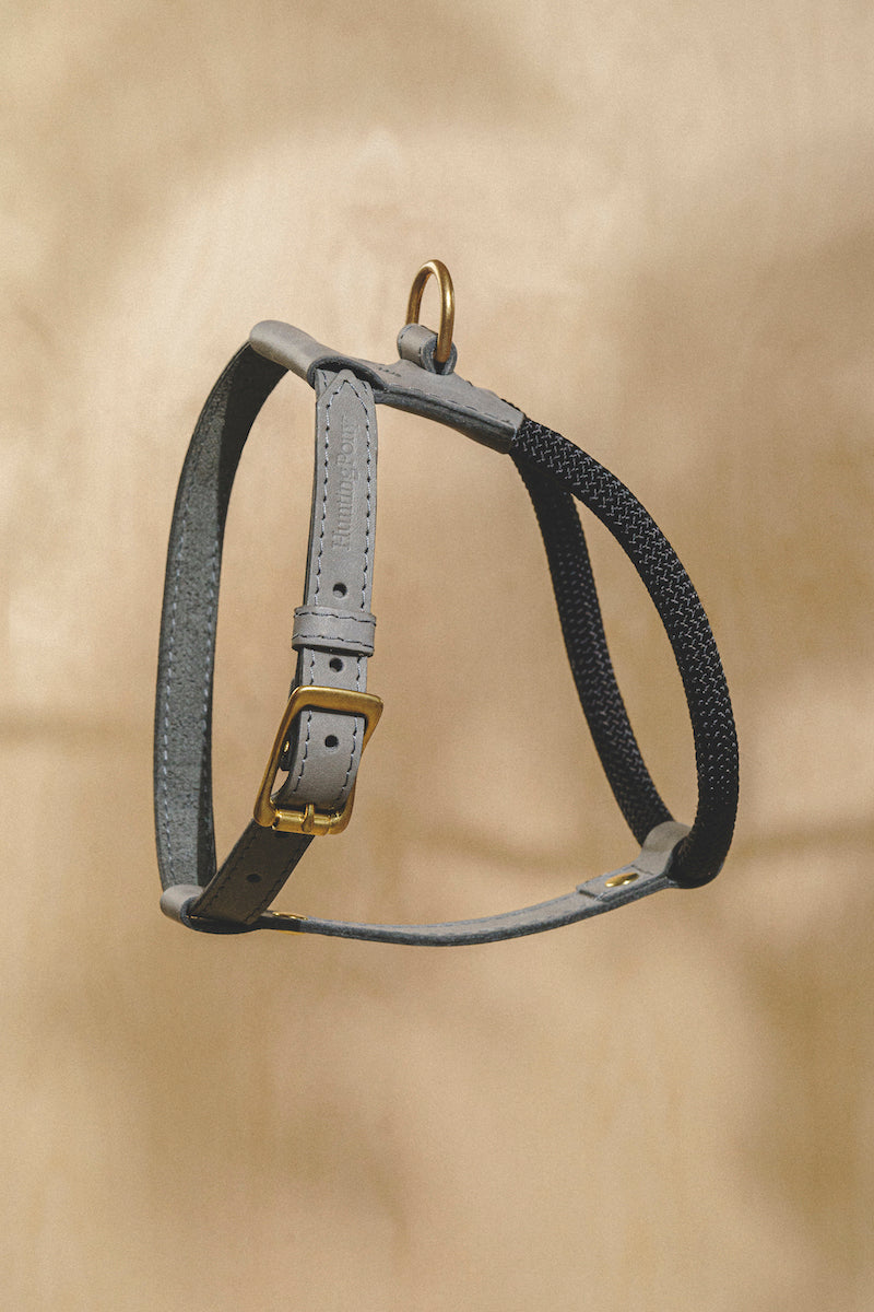 Hundegeschirr Pony Makarony Grün