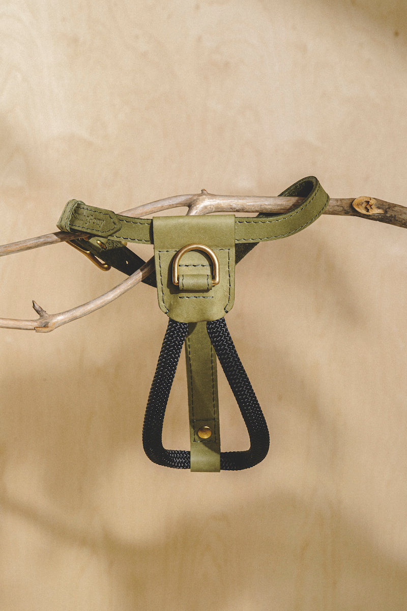 Dog Harness Pony Makarony Green