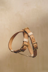 Walk kit: Walkony leash + harness beige-ginger