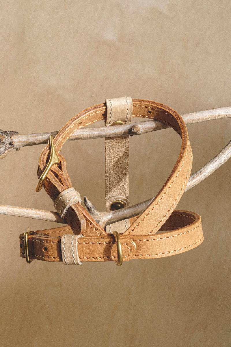Harness Pony-Walkony ginger+beige