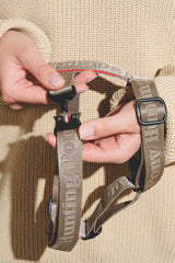 Walk kit: Companiony leash + harness gray