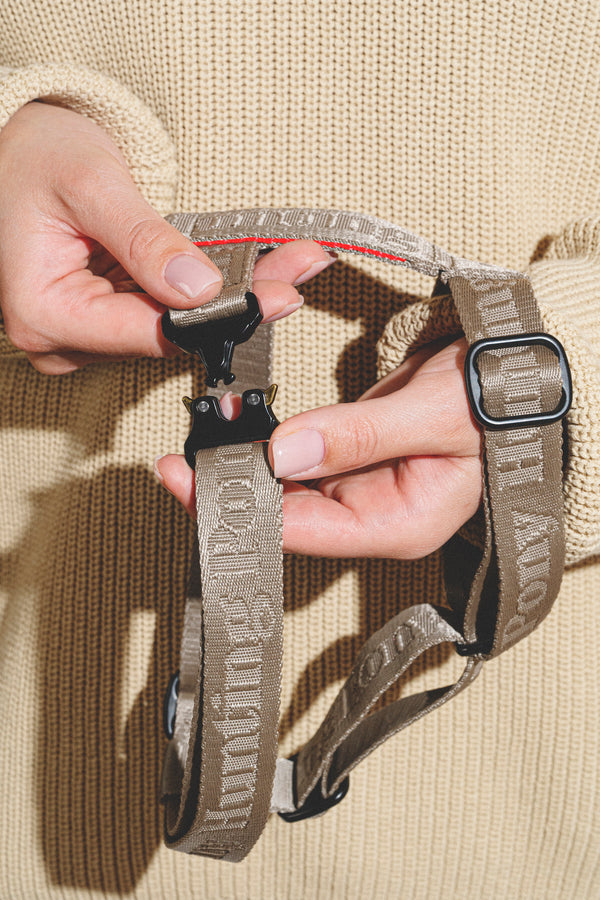 Walk kit: Companiony leash + harness gray