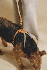 Dog Harness Pony Makarony Ginger, light rope