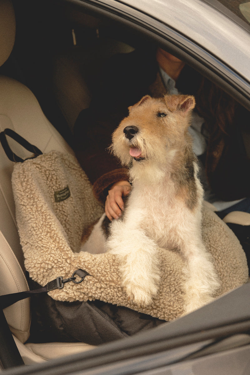 Car seat for dogs black
