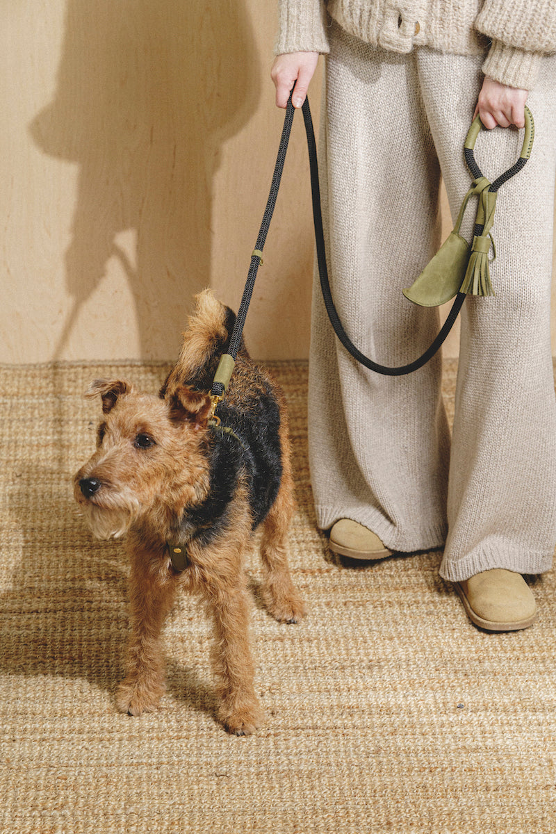 Walk kit: Makarony dark rope leash + collar green