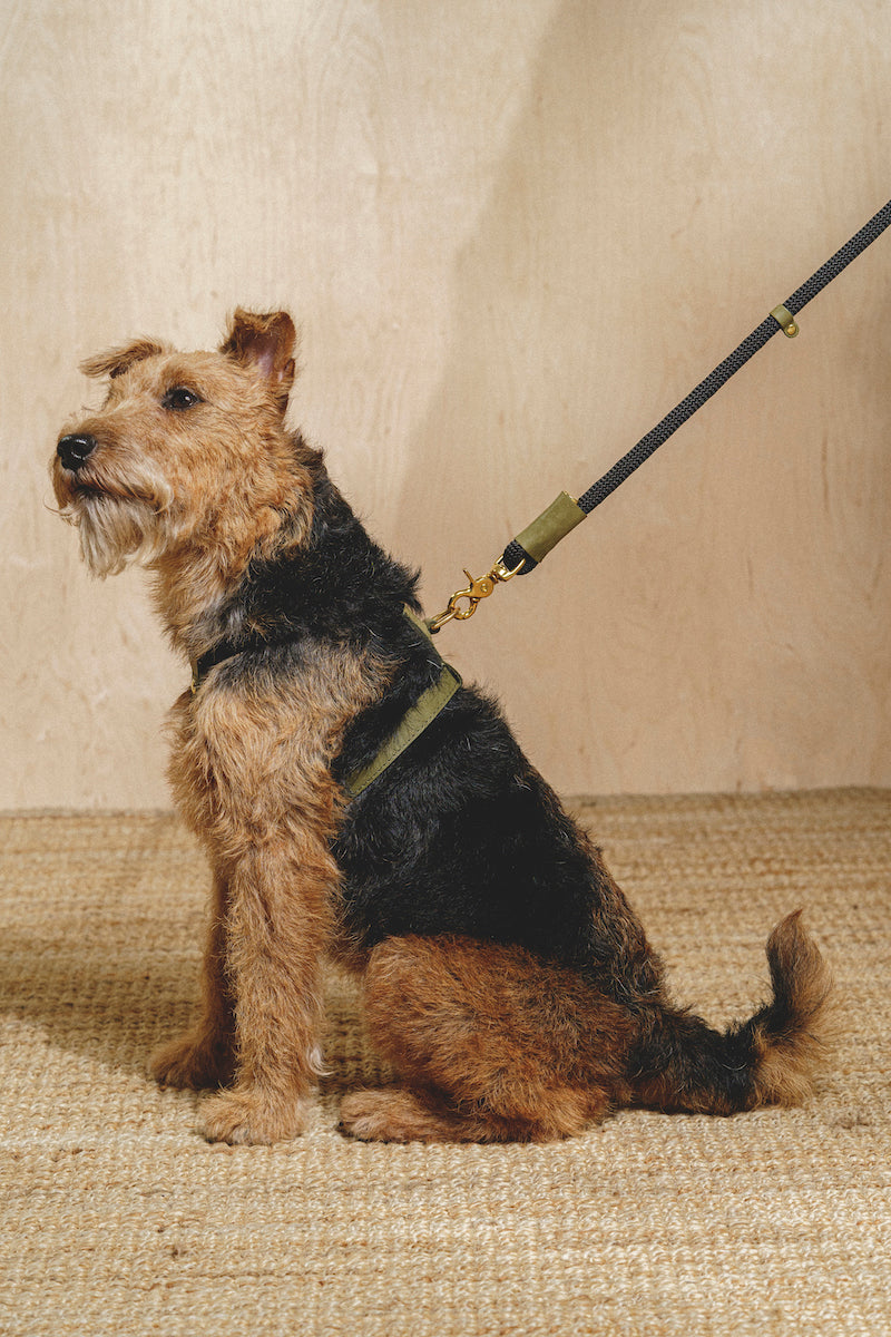 Dog Harness Pony Makarony Green