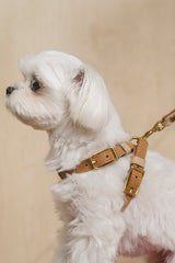 Walk kit: Walkony leash + harness beige-ginger