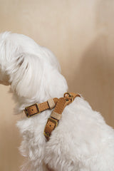 Walk kit: Walkony leash + harness beige-ginger