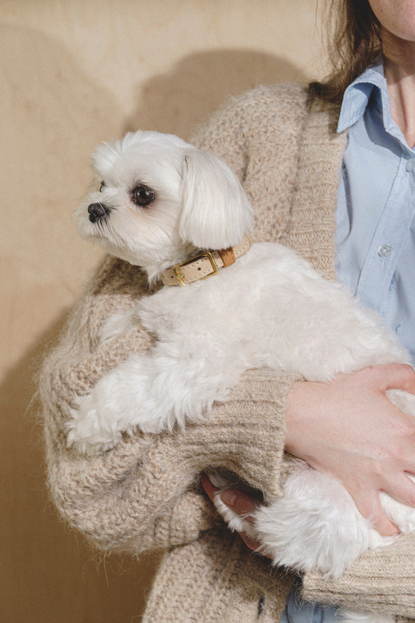 Collar Pony-Walkony, beige and ginger