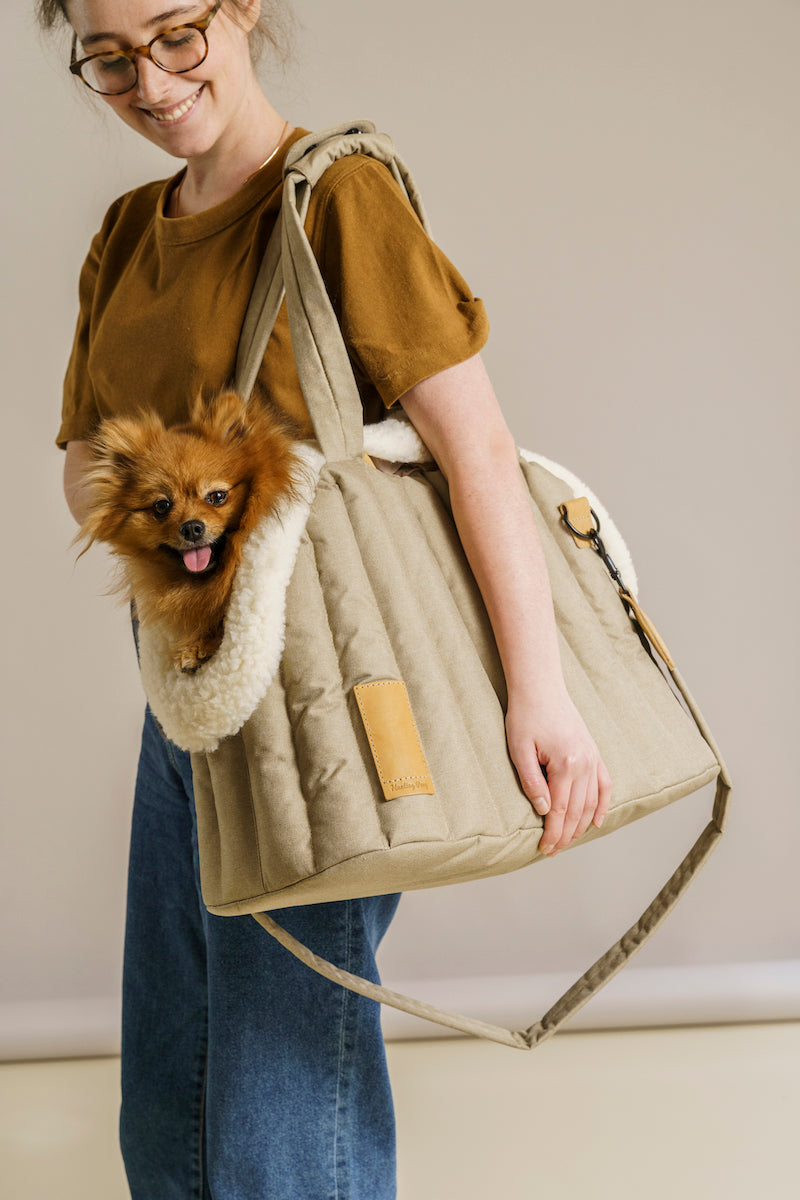 SET: Сarrying Pony bag beige + Fur case