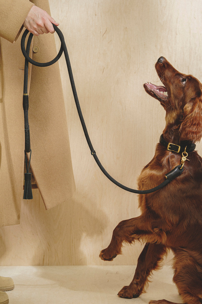 Dog collar Pony makarony Wine