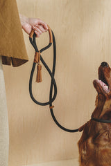 Walk kit: Makarony dark rope leash + collar ginger