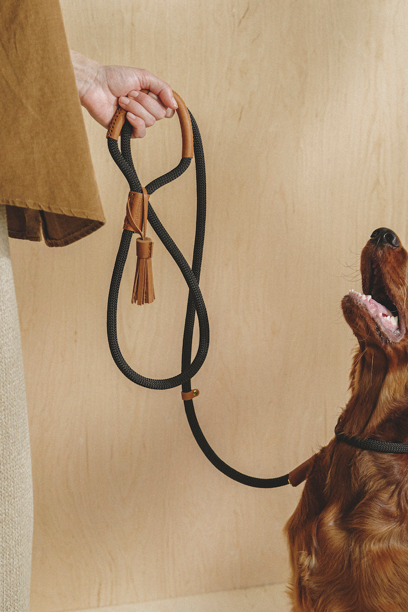 Walk kit: Makarony dark rope leash + collar ginger