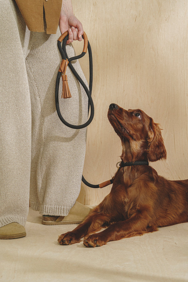 Walk kit: Makarony dark rope leash + collar ginger