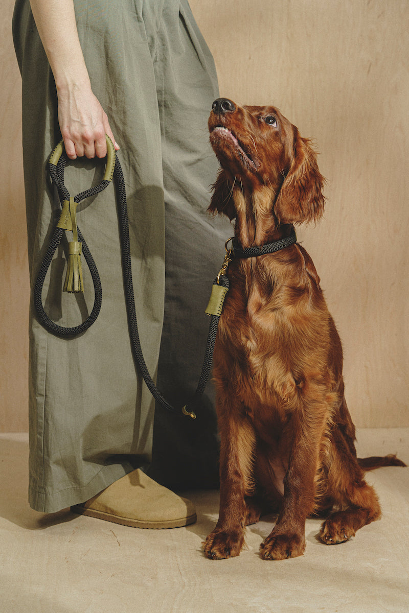 Walk kit: Makarony dark rope leash + collar green