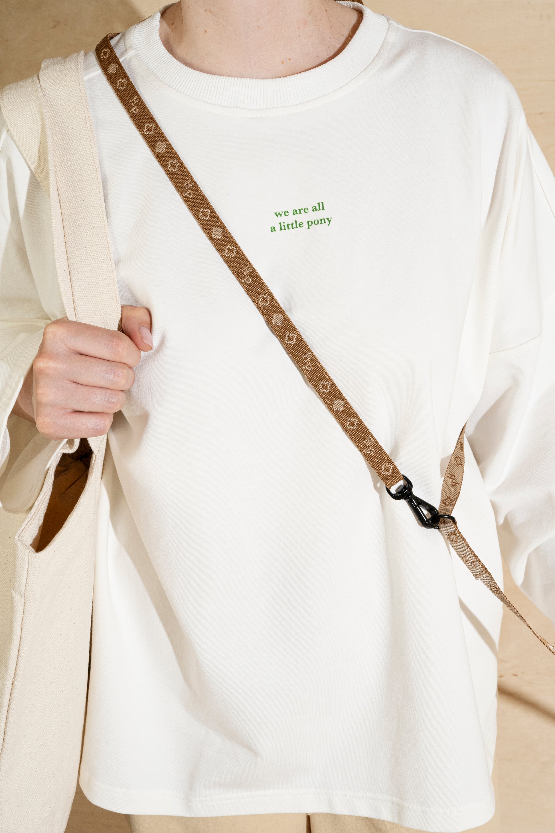 Walk kit: Companiony mini leash + collar ginger