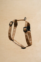 Walk kit: Companiony mini leash + harness ginger