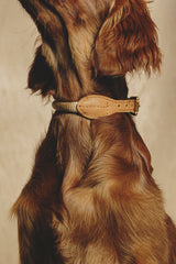 Dog collar Pony makarony Ginger, light rope